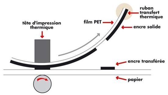 Thermal Transfer Label Printers vs. Direct Thermal Label Printers: A Comprehensive Comparison